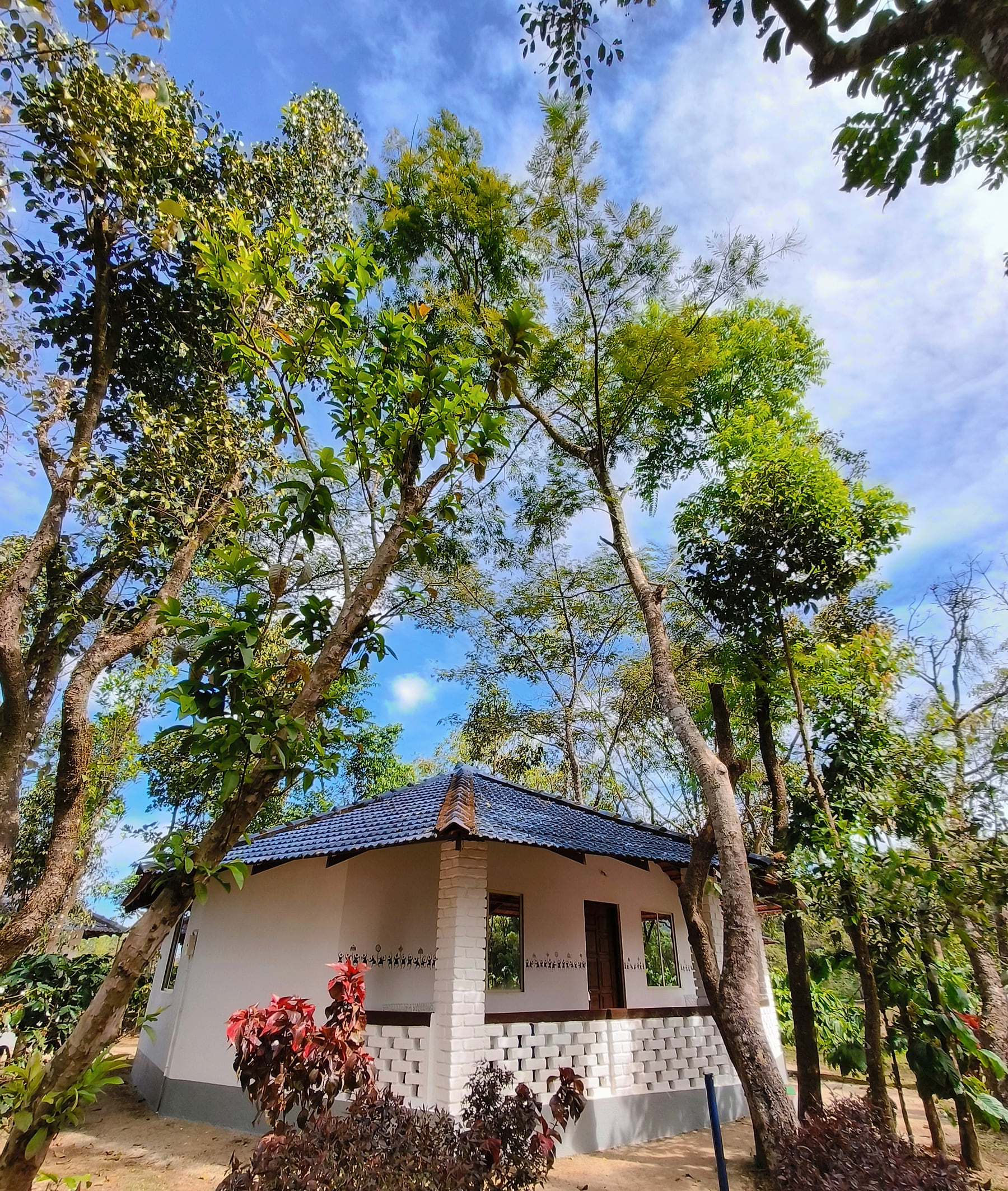 Cottages and trees around Hidden Roots