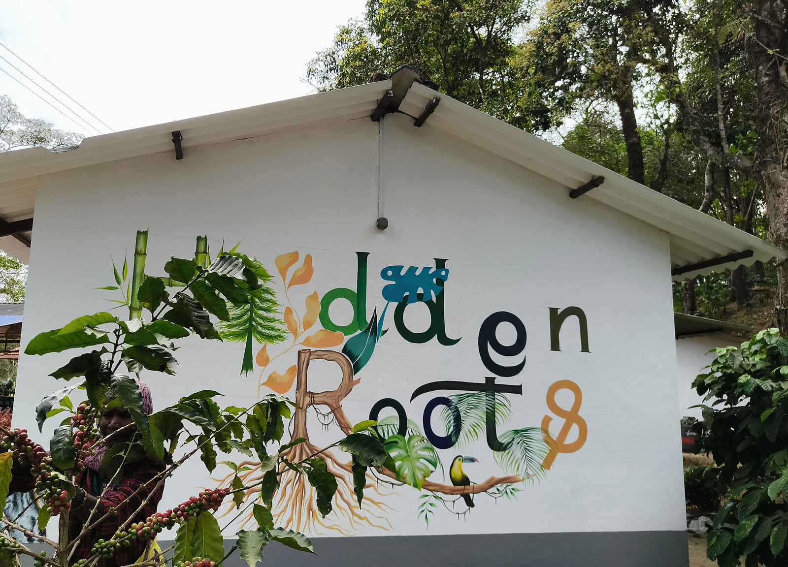 Hidden Roots exterior wall signage